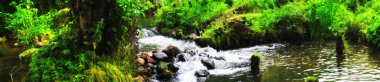 Bahar bir dağ nehir panoramik görüntü