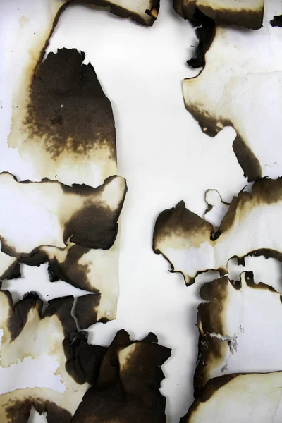 Eski kağıt yandı. Arka plan resmi.