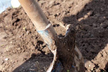eski kürek toprağa şaşırıp kalmış.