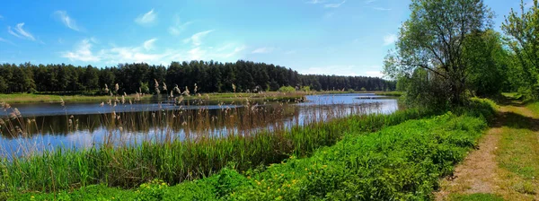 Панорамное изображение дороги вдоль озера — стоковое фото