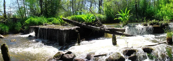 Panoramic image of a forest waterfall in the rocks Royalty Free Stock Photos