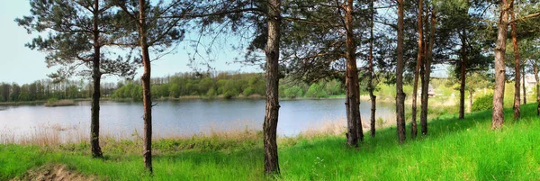 Панорамне зображення лісового озера влітку — стокове фото