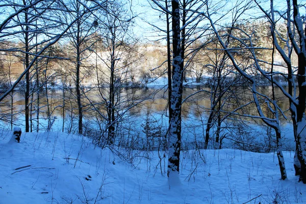 Manhã gelada na floresta de inverno. Bela paisagem . — Fotografia de Stock