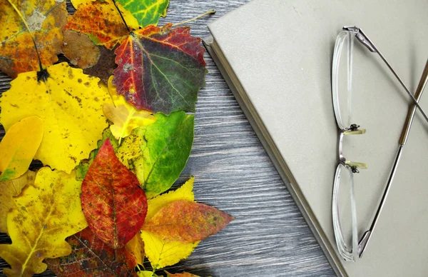 Закрытая книга, очки на заднем плане с опавшими листьями . — стоковое фото