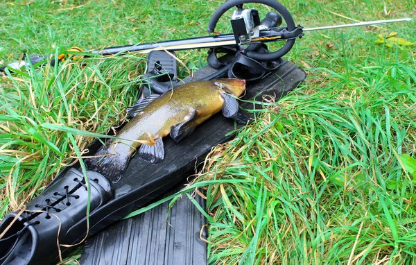 Équipement pour la pêche au harpon et les poissons pêchés sur l'herbe — Photo