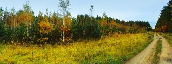 Panoramisch beeld van herfst bos. Forest road — Stockfoto