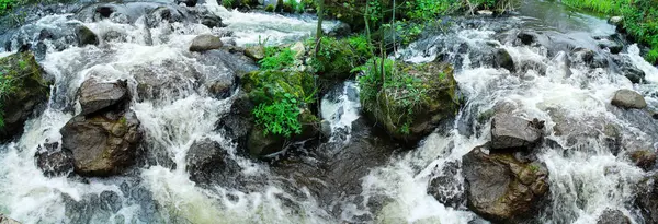 Imagen Panorámica Una Hermosa Cascada Forestal Arroyo Forestal —  Fotos de Stock