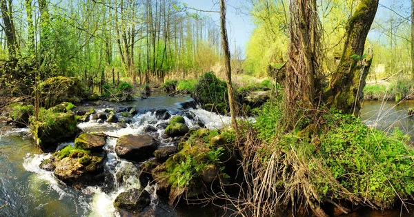 Beautiful panoramic image of a waterfall on a forest river