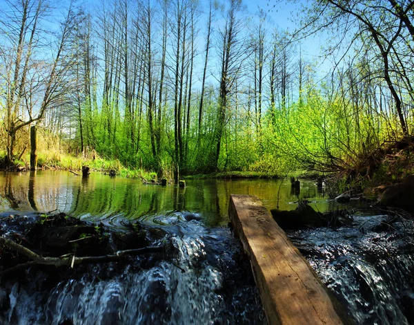 Beautiful panoramic image of a waterfall on a forest river