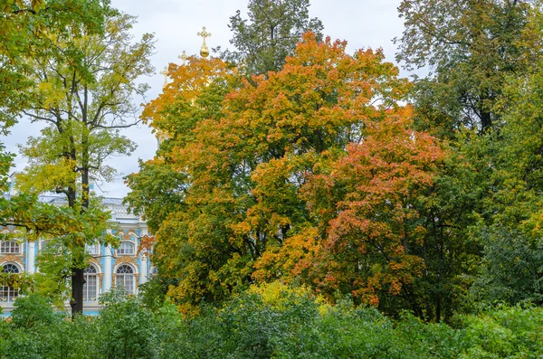 As cúpulas douradas da Igreja do Palácio no outono — Fotografia de Stock