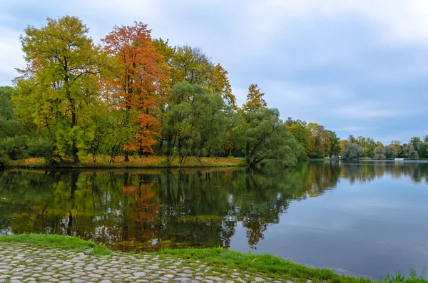 Bir göl ile parkta sonbahar manzara — Stok fotoğraf