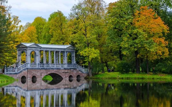 Autumn landscape in the Park — Stock Photo, Image