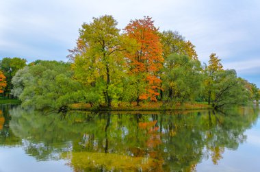 Bir göl ile parkta sonbahar manzara