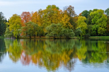 Bir göl ile parkta sonbahar manzara