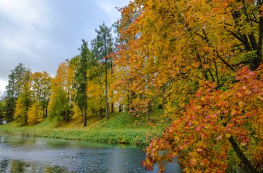 Bir göl ile Park sonbahar