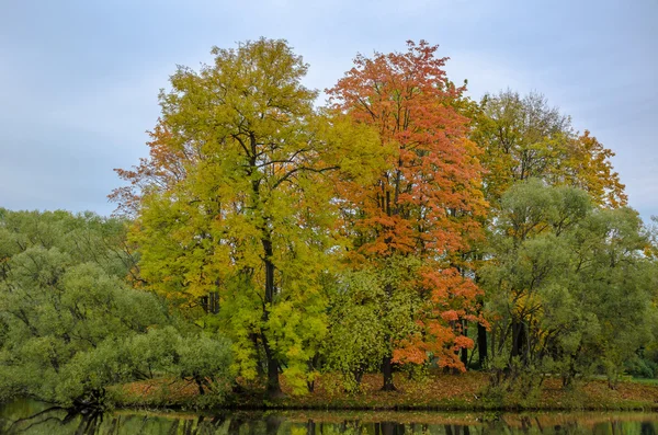 Paisagem de outono no Parque com um lago — Fotografia de Stock