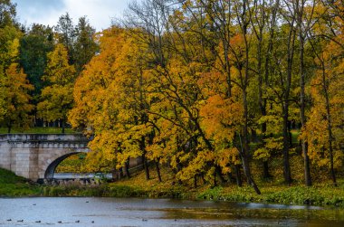 Bir göl ile Park sonbahar