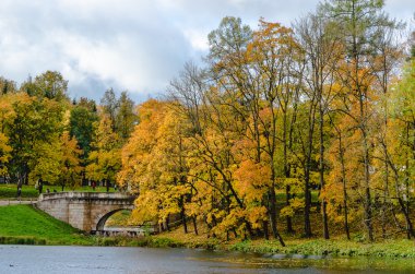 Mavi Göl ve eski kambur taş köprü ile parkta altın sonbahar