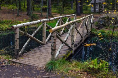Ormanda ahşap köprü