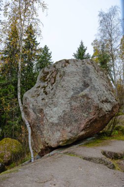 Bir büyük boulder ve bir uçurumun üstünde ince huş ağacı