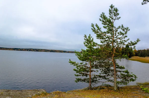 Осенний пейзаж на берегу озера — стоковое фото