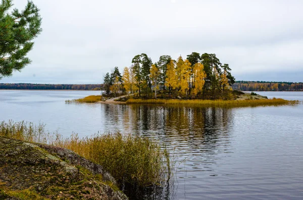 Paisagem de outono com a margem do lago e uma pequena ilha — Fotografia de Stock