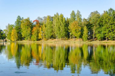 Gatchina Palace Park gölde duvar sonbahar orman