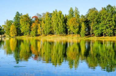 Gatchina Palace Park gölde duvar sonbahar orman