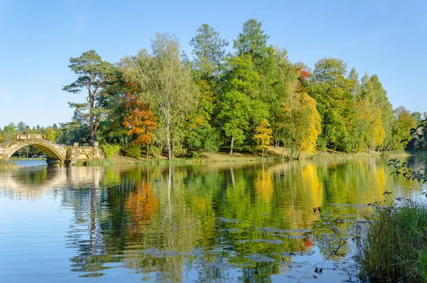 Paisagem de outono floresta no Gatchina Palace Park em um fundo de céu azul e nuvens — Fotografia de Stock