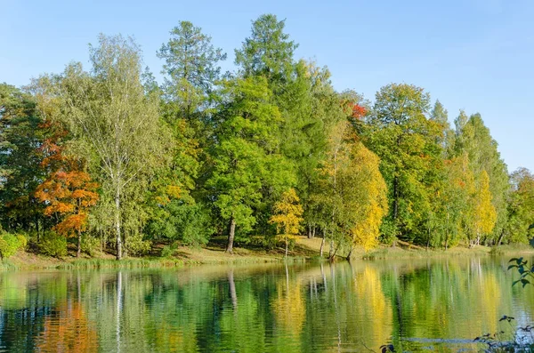 Väggen hösten skogen på sjön vid Gatchina Palace Park — Stockfoto