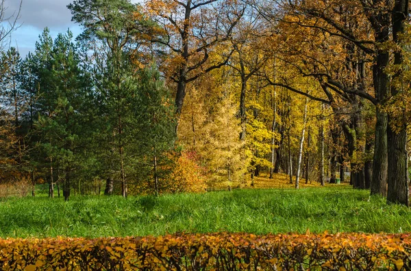 Осінній пейзаж у парку — стокове фото