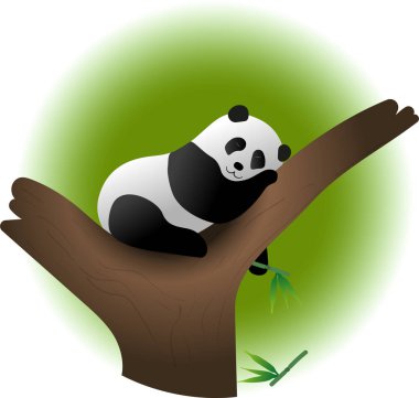 Şirin Panda öğle yemeğinden sonra ağaçta uyuyor. İzole edilmiş vektör resmi.