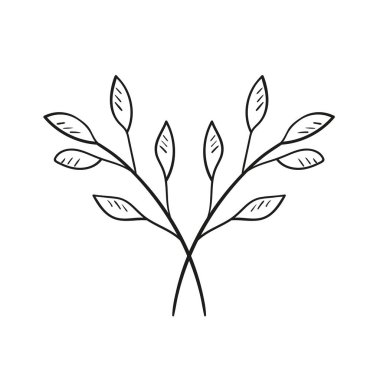 Yapraklı bir ağacın iki dalı, Doodle tarzında el çizimi. Beyaz arkaplanda vektör resmi izole edildi
