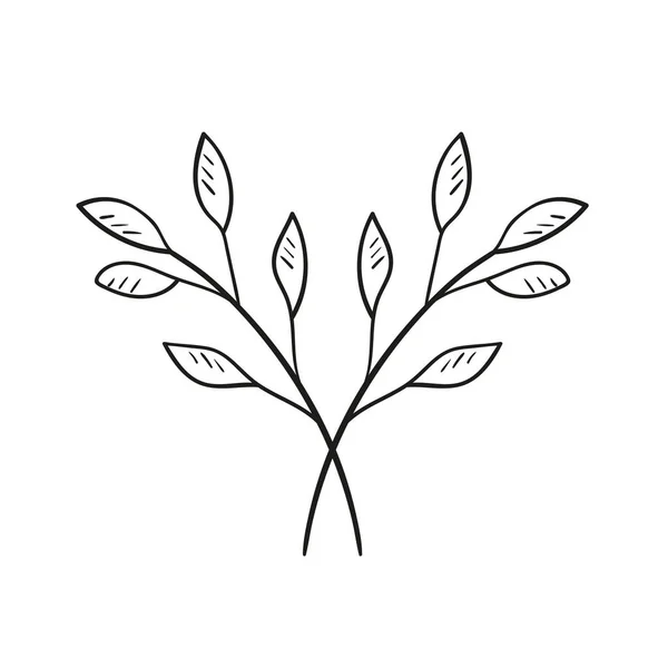 Two Branches Tree Leaves Hand Drawing Style Doodle Vector Image — Stock Vector