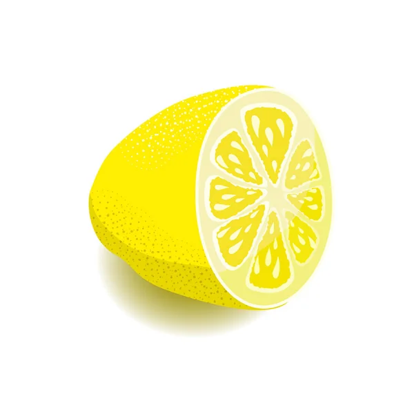Lemon Cut Half Lemon Vector Image Isolated White Background — Stock Vector