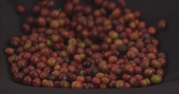Zpomalené Záběry Rukou Uchopení Syrových Kávových Zrn — Stock video