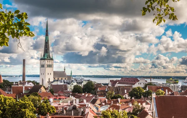 Pěkný panoramatický výhled na Tallinn — Stock fotografie