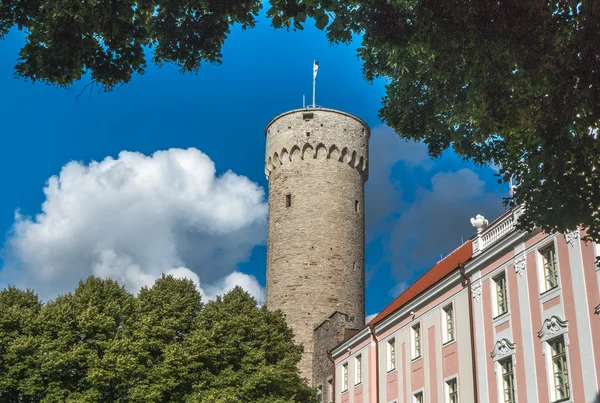 Pikk Hermann Tower in Tallinn Estonia — ストック写真