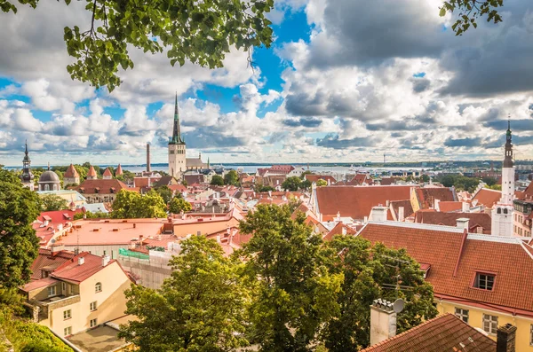 Pohled pěkné město Tallinn Estonsko — Stock fotografie