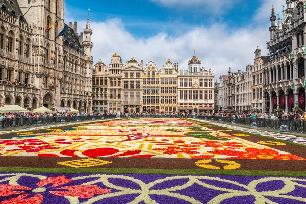 O tapete de flores em Bruxelas 2016 — Fotografia de Stock