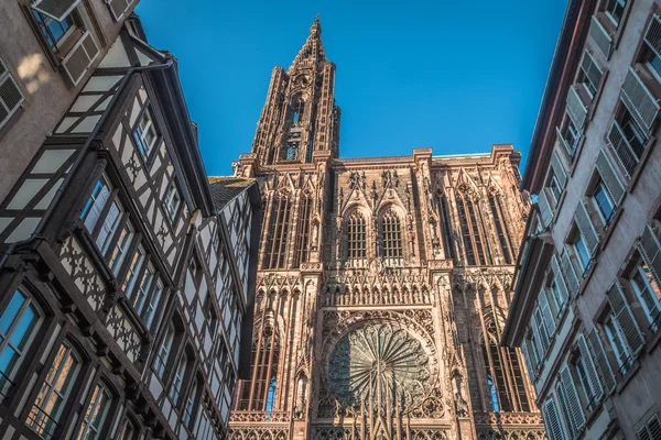 The Strasbourg Cathedral in Alsace — ストック写真