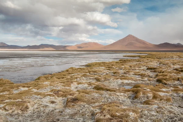 Beautiful view of Lago Colorado in Bolivia — Stock Photo, Image