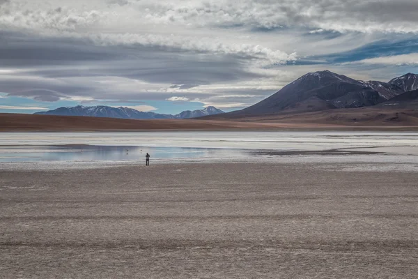 Lago na Bolívia Cordilheira dos Andes — Fotografia de Stock