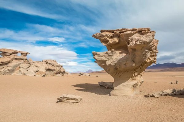 Der baumfelsen in bolivien — Stockfoto