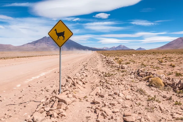 Llama crossing sign in Andes mountains in Bolivia — Stock Photo, Image