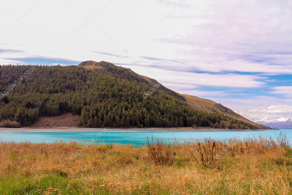 View of Lake Tekapo