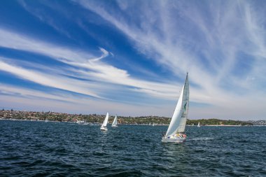 Yelkenli tekneler Sydney
