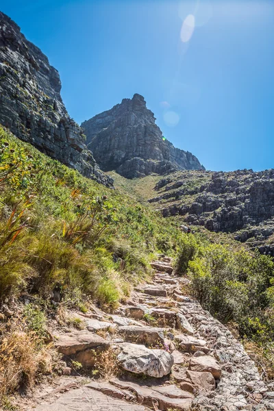 Masa Dağı Cape Town hiking