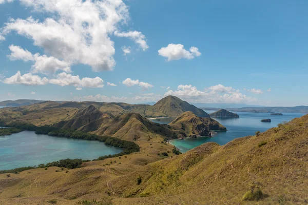 Komodo dragon Island göster