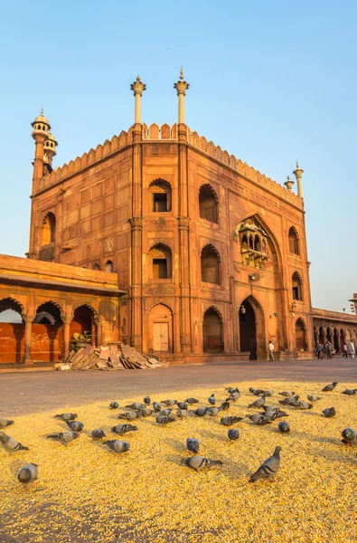 Utfärda utegångsförbud för av Jama Masjid moskén i Delhi — Stockfoto